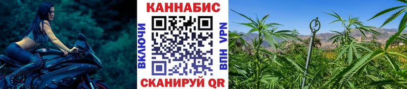 Где купить Невельск Псилоцибиновые грибы  ГАШ  АМФ  Марихуана  СК 