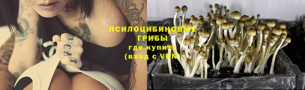 mix Абинск