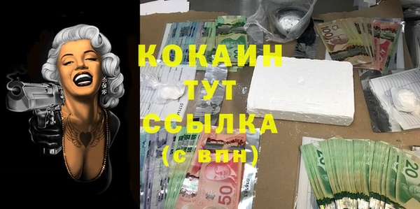 PSILOCYBIN Абдулино