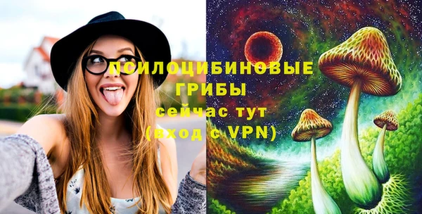 PSILOCYBIN Абдулино