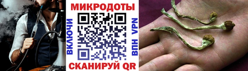 сайты даркнета состав  Невельск  Галлюциногенные грибы мицелий 